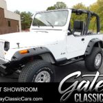 1994 Jeep Wrangler YJ V8 Automatic Detroit For Sale on Boost Your Ad - Custom Cars For Sale, Inc. www.carstrucksbikesandboats.com