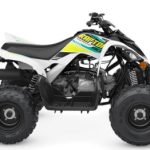 2022 WHITE Yamaha Raptor 90 Halfmoon, NY Boost Your Ad Custom Cars for sale