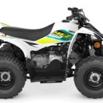 2022 WHITE Yamaha YFZ50 Halfmoon, NY Boost Your Ad Custom Cars for sale