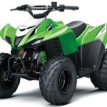 2023 BLUE Kawasaki KFX 90 Halfmoon, NY Boost Your Ad Custom Cars for sale