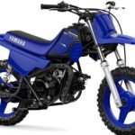 2023 BLUE Yamaha PW50 Halfmoon, NY Boost Your Ad Custom Cars for sale