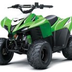 2023 BLUE Kawasaki KFX 50 Halfmoon, NY Boost Your Ad Custom Cars for sale Carstrucksbikesandboats.com