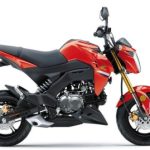2023 RED Kawasaki Z125 PRO Halfmoon, NY Boost Your Ad Custom Cars for sale Carstrucksbikesandboats.com