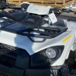 2023 WHITE Kawasaki BRUTE FORCE 750 Halfmoon, NY Boost Your Ad Custom Cars for sale
